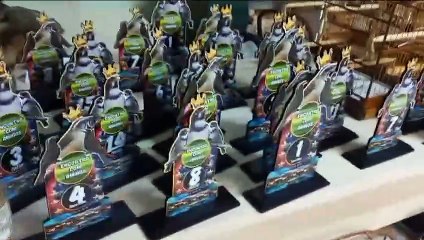 Nova operação em SC contra torneio de pássaros tem correria e apreensão de 40 aves