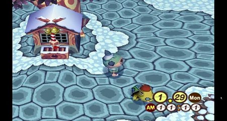 Doubutsu no Mori +. Tortimer