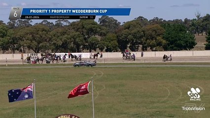 Grumpee, driven by Chris Alford, wins the 2024 Wedderburn Trotters Cup (2690m)