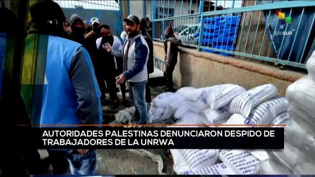 teleSUR Noticias 17:30 28-01: Autoridades palestinas denuncian despido de trabajadores de la Unrva