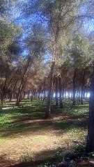 جمال الطبيعة بالاطلس المتوسط المغرب morocco Maroc canada USA india