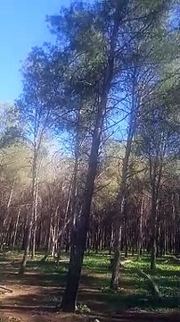 Morocco Maroc Fès Meknès rabat Marrakech