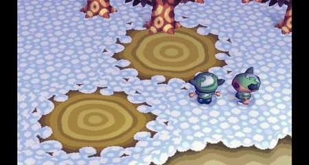 Doubutsu no Mori. Weird moving glitch with some error item