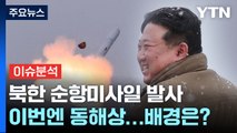 [뉴스라이브] 북한, 나흘 만에 또 순항미사일 발사...배경은? / YTN