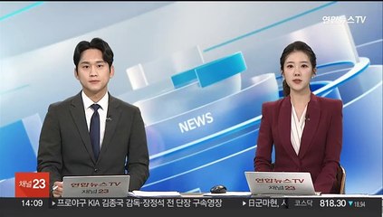 '동생 구속되자 형이'…중국에 반도체 기술 유출 임직원 기소
