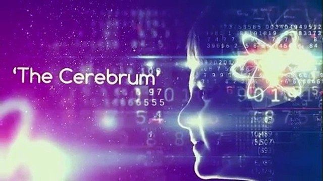 School Counselling Video - Hyderabad Euroschool