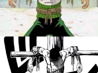 Roronoa zoro quotes that you want to hear