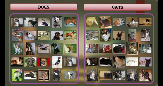 Session 3 : What is ML Explained! What You Need to Know About Machine Learning | For Beginners