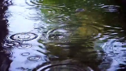 Surah An-Nasr (The Help) سورة النصر  in English translation