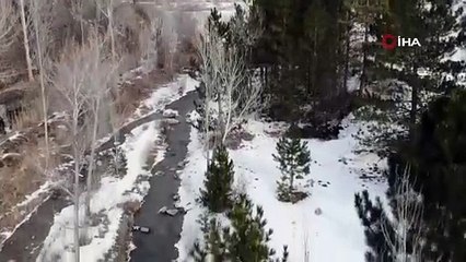 Sibirya değil, Türkiye! Dere soğuktan dondu; ortaya bu görüntü çıktı
