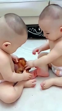 Babies Fighting With Each Other |Babies Funny Moments | Babies Funny Reactions | Babies Compilation #babies #beautiful #cutebabies #fun #love #cute #beautiful #funny