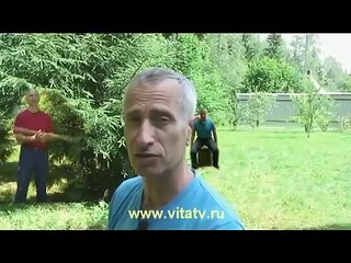 Какой-то разноцветный салат RYTP