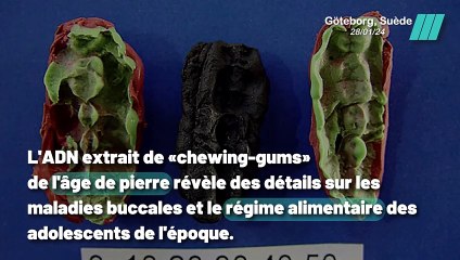 ADN de chewing-gums révèle les secrets de la préhistoire