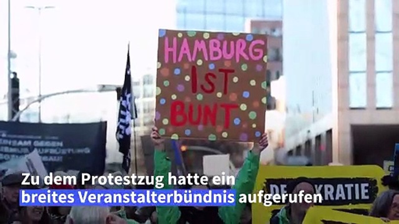 Großdemo gegen Rechts in Hamburg