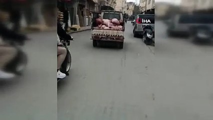 Görenler gözlerine inanamadı! İnsan sağlığıyla böyle oynuyorlar