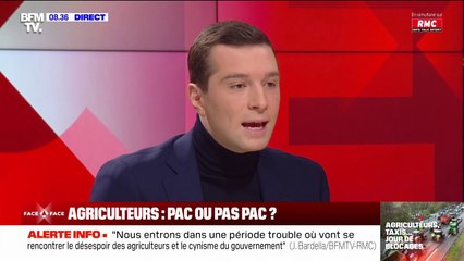 Colère des agriculteurs: "L'écologie, oui, mais l'écologie punitive, non" affirme Jordan Bardella