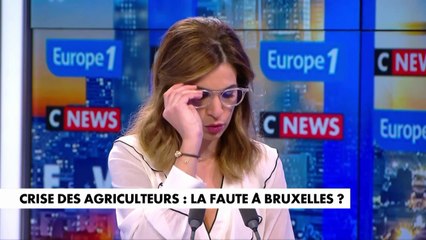 Blocage des agriculteurs : «La Macronie a fait le contraire à Strasbourg de ce qu’elle raconte à Paris», estime Bellamy
