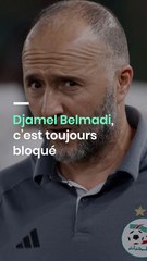 Djamel Belmadi Toujours en Poste : La Situation de l'Entraîneur de l'Équipe Nationale Algérienne