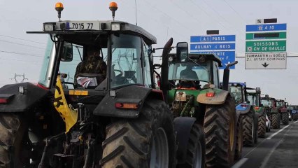 Protestas de agricultores en Francia.
