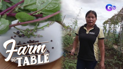 Get to Know the Alugbati Plant! | Farm To Table