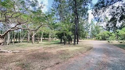A vendre Villa de Charme avec Terrain Spacieux à Ondémia -  Agence Nestenn à Nouméa