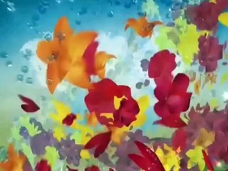 (MONTAGEM) Oferecimento Sangue Bom (25/05/2013)