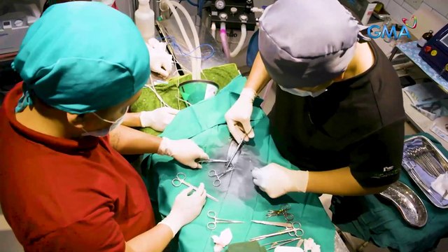 Join Doc Ferds in saving the life of a giant cloud rat with deep wounds. | Born to be Wild