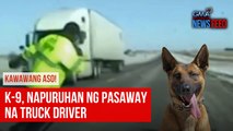 K-9, napuruhan ng pasaway na truck driver | GMA Integrated Newsfeed