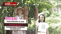 Hair care ilang probinsya, bulaklak ng luyang itim o bitter ginger! | Good News