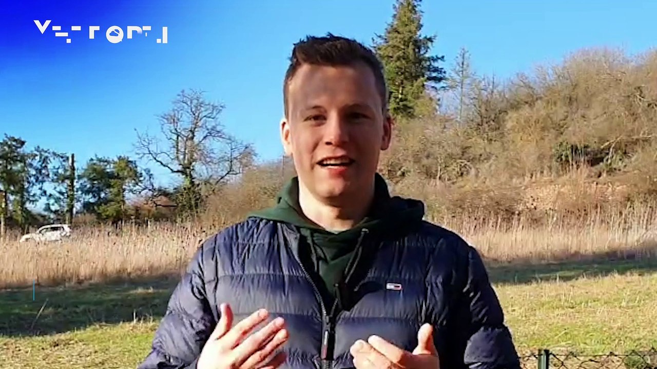 Frühling mitten im Januar! Bis zu 15 Grad und viel Sonne!