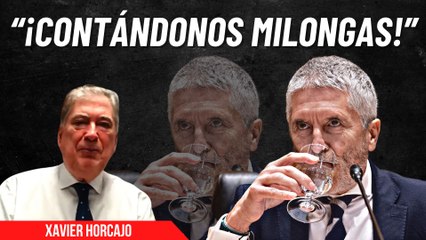 Xavier Horcajo, muy duro con Marlaska después del varapalo del Supremo: “Espero que le procesen”