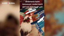 Evden kaçıp günler sonra geri gelen kedi, sahibi ile böyle konuştu