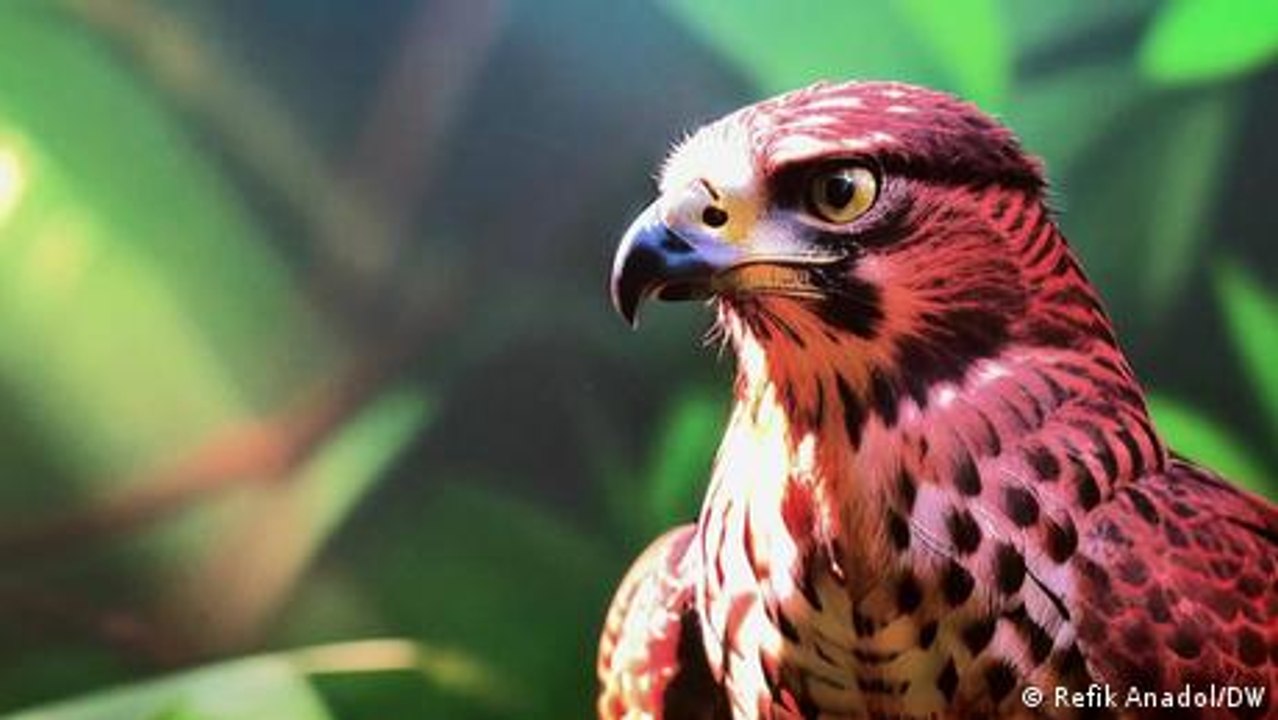 Digitale Datenskulpturen mit hypnotischer Wirkung