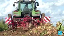 France : les agriculteurs dénoncent une concurrence étrangère 