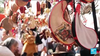 Bullfighting resumes in Mexico City despite protests