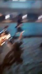 Confusão de torcedores na Santa Lúcia