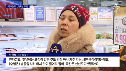 자취 감춘 오징어, 케냐서 잡아온다