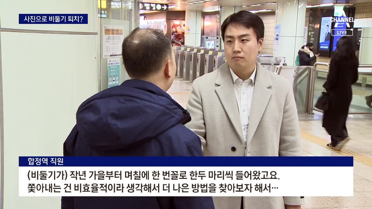 비둘기 부적?…합정역 붙은 사진 정체는