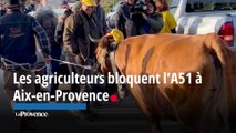 “C’est compliqué de survivre” : les agriculteurs se mobilisent à Aix-en-Provence