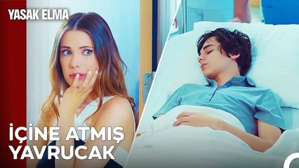 Fiziksel Değil Ruhsal Bir Çöküntü - Yasak Elma