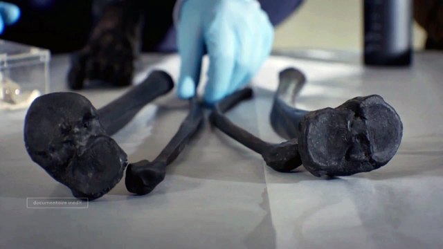 L'enigme de la momie des marais - 1er février