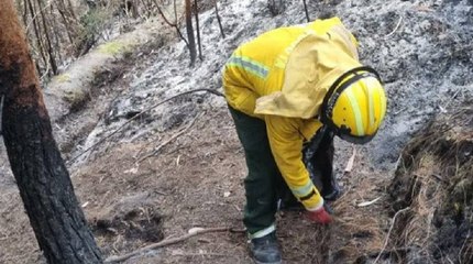 Bombero fue herido por una roca atendiendo emergencia en los cerros orientales