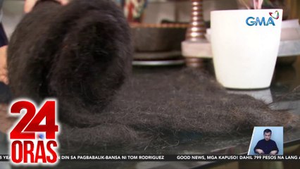 Hyfoam, eco-friendly alternative sa styro dahil gawa sa balat ng niyog | 24 Oras