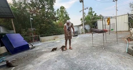 El estado de Frank Cuesta tras su brutal ataque