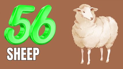 56 to 60 counting for kids cartoon animation and Learning - Shaaani Kids Tv