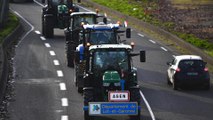 « Une question de survie » : partis d’Agen, ces agriculteurs veulent bloquer Rungis