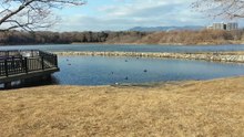 Explore Koyakike Park: A Hidden Gem in Japan