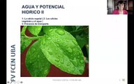 Fisiología vegetal - Potencial hídrico - Parte 1