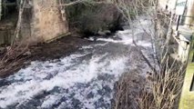 El río Cuerpo de Hombre luce con fuerza en la Ruta de las Fábricas de Béjar (Salamanca)