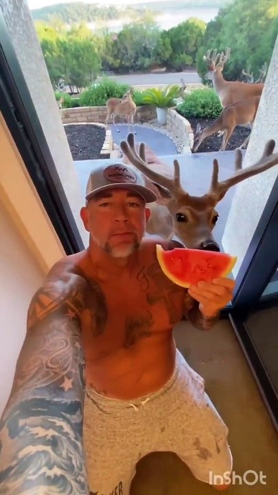 Funny animals hub,funny animals club youtube, , funny animals dancing , funny animals fighting